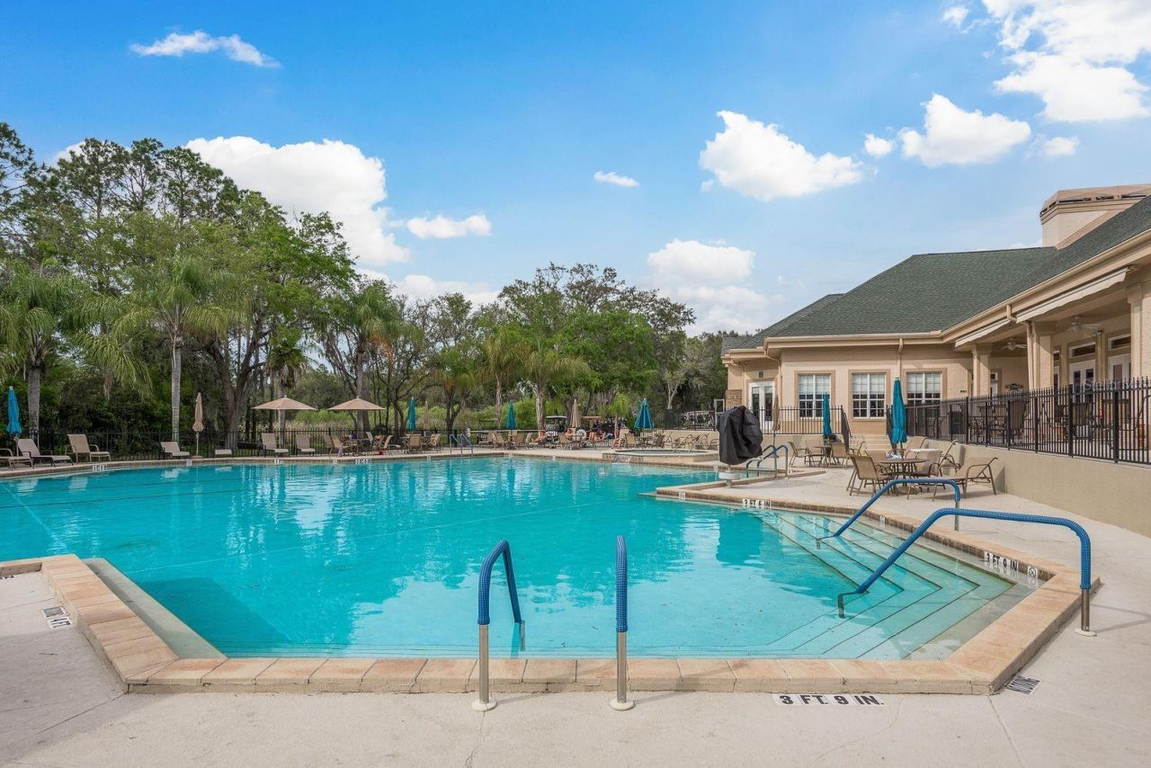 6542 Pine Walk Drive, New Port Richey, FL 34655 Photo