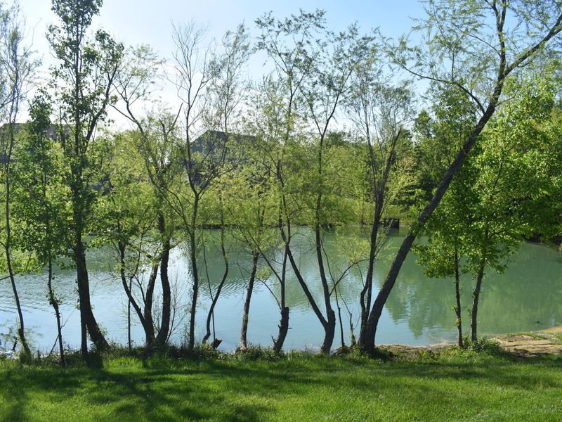 6639 Jade Court, Burlington, KY 41005 Photo 31