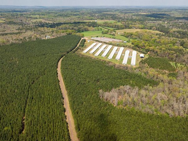 435 Morgan Road, Yatesville, GA 31097