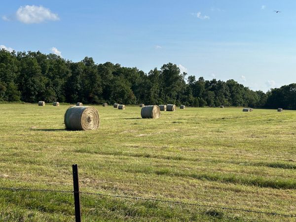 4420 State Route Dd, Willow Springs, MO 65793