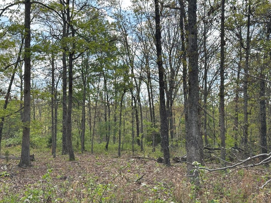 Property Image 49