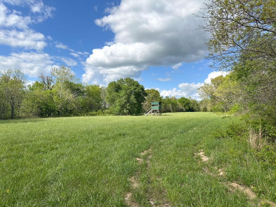 Property Image 59