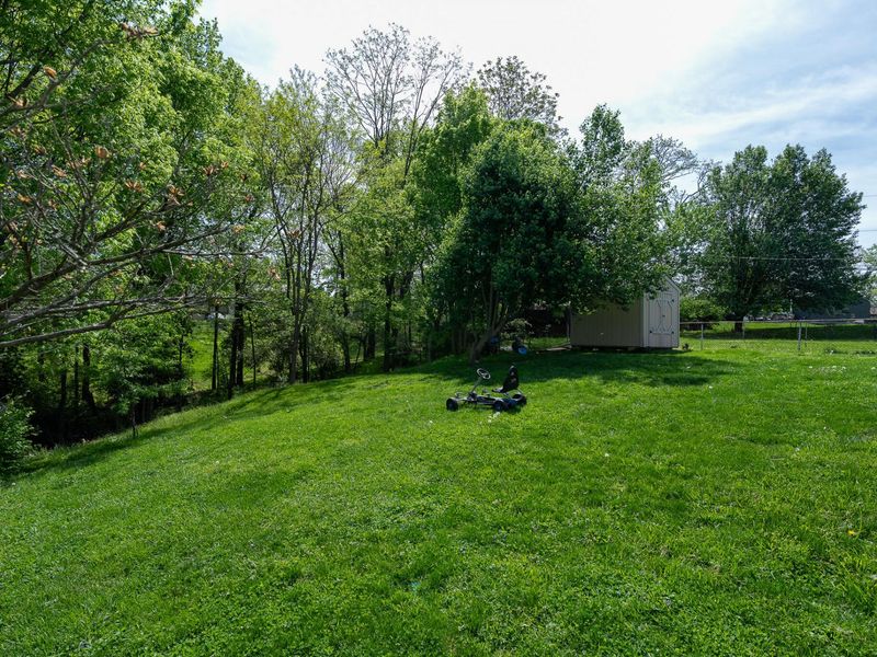 120 Bluffside Drive, Covington, KY 41017 Photo 24