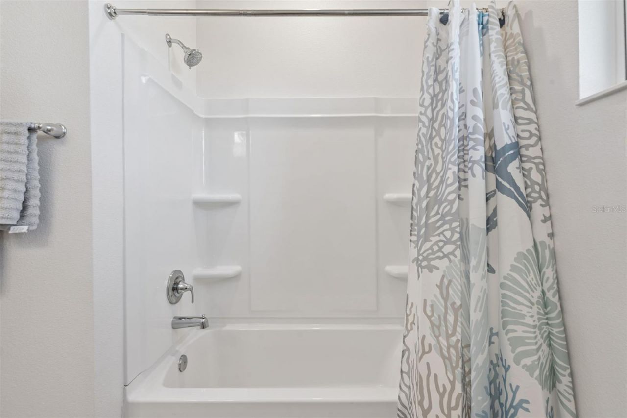 1682 Littleleaf Boxwood Loop, Mascotte, FL 34753 Photo