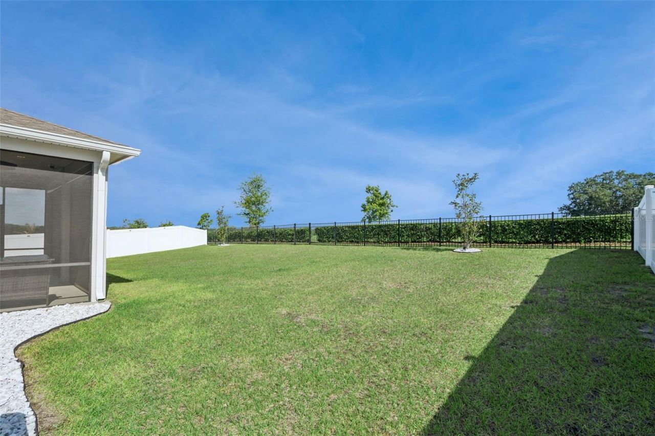 1682 Littleleaf Boxwood Loop, Mascotte, FL 34753 Photo