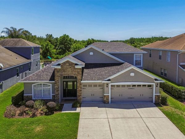 2336 NESSLEWOOD DRIVE , WESLEY CHAPEL, FL 33543