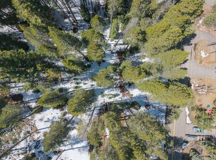 10509 E Alder Creek Road, Truckee, CA 96161 Photo