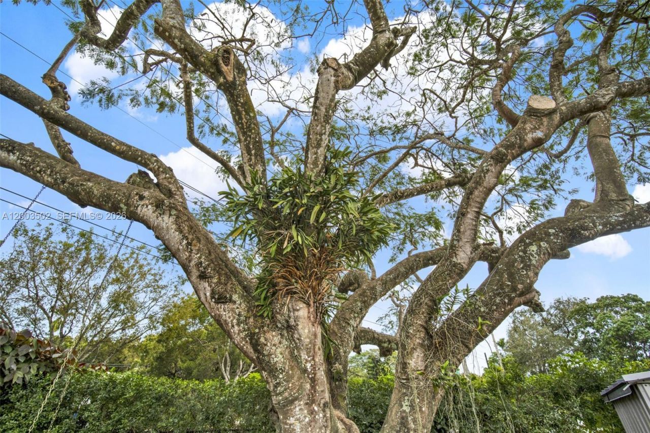 5701 SW 50th Ter , Miami, FL 33155 Photo