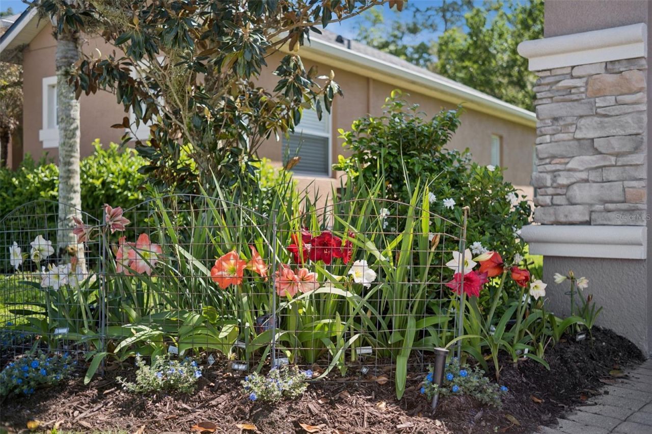 3918 Safflower Terrace , Oviedo, FL 32766 Photo