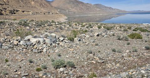 51 Shores Drive, Walker Lake, NV 89415 Photo