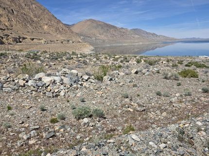 51 Shores Drive, Walker Lake, NV 89415 Photo