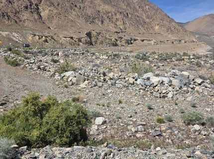 51 Shores Drive, Walker Lake, NV 89415 Photo