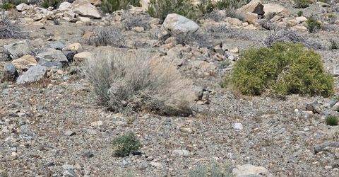 51 Shores Drive, Walker Lake, NV 89415 Photo
