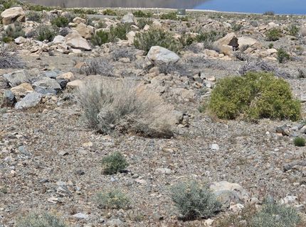 51 Shores Drive, Walker Lake, NV 89415 Photo
