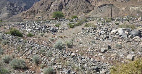 51 Shores Drive, Walker Lake, NV 89415 Photo