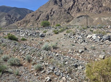 51 Shores Drive, Walker Lake, NV 89415 Photo