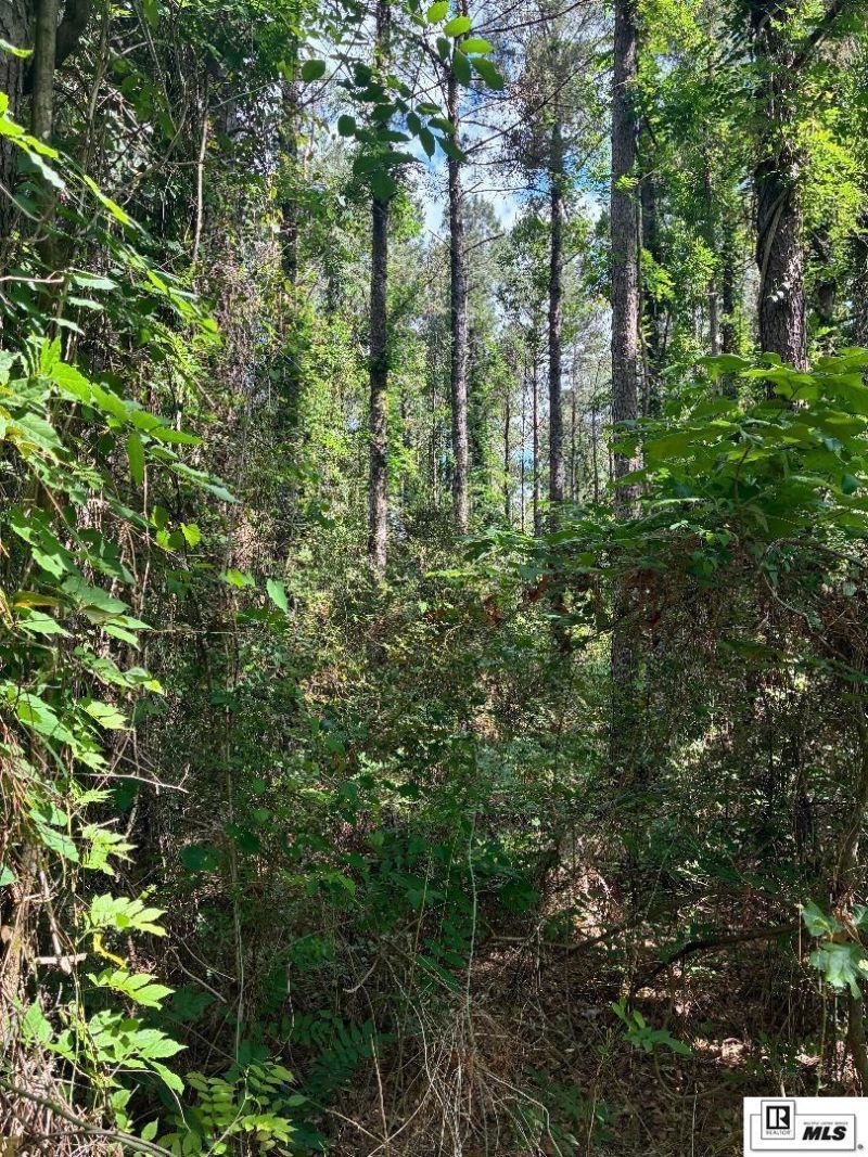 00 Arnold Road, Choudrant, LA 71227 Main Photo