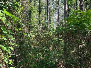 00 ARNOLD ROAD, Choudrant, LA 71227