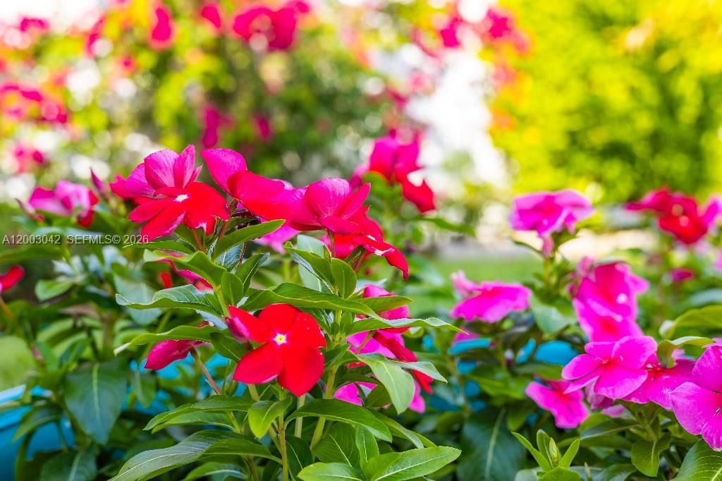 602 Malabar Ave , Fort Pierce, FL 34949 Photo