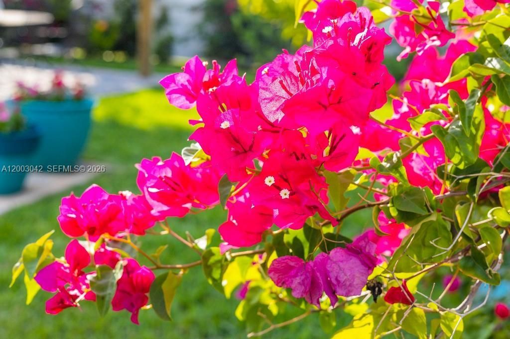 602 Malabar Ave , Fort Pierce, FL 34949 Photo