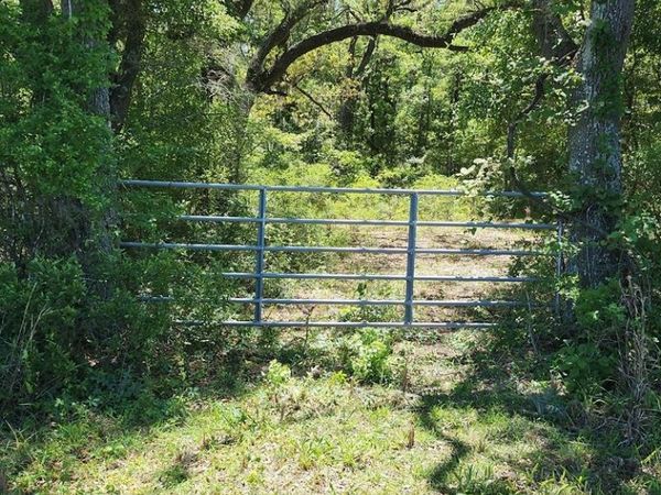 NE 811th St, Old Town, FL 32680