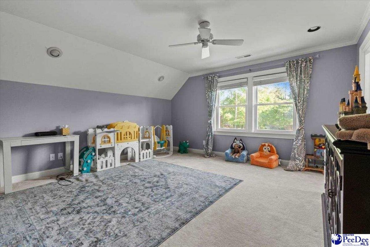 818 Vintage Drive Photo 41