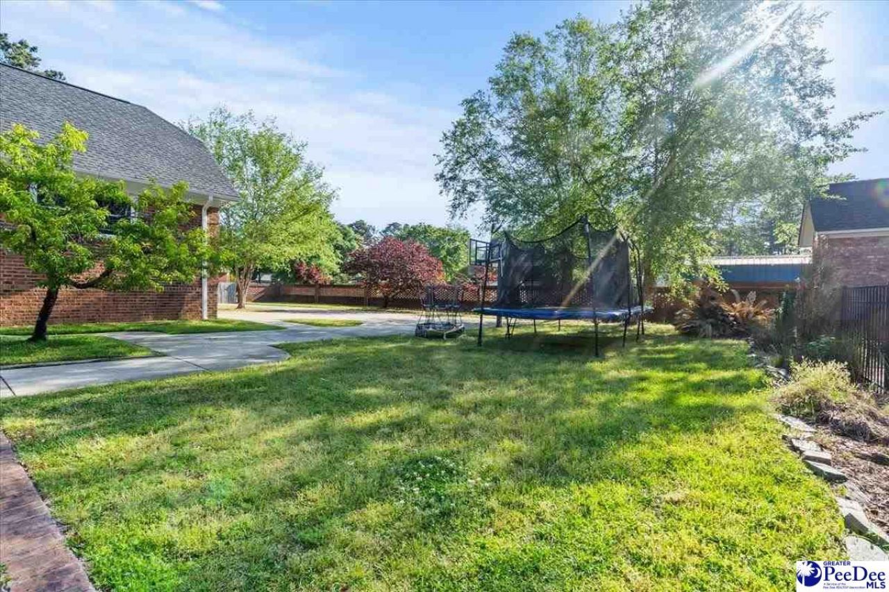 818 Vintage Drive Photo 46