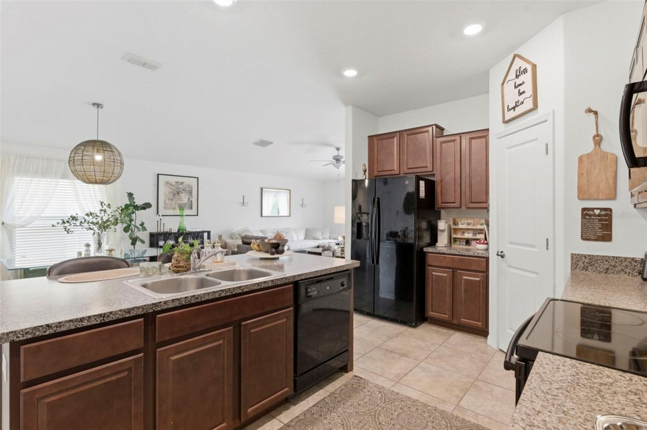 12611 Lemon Pepper Drive, Riverview, FL 33578 Photo