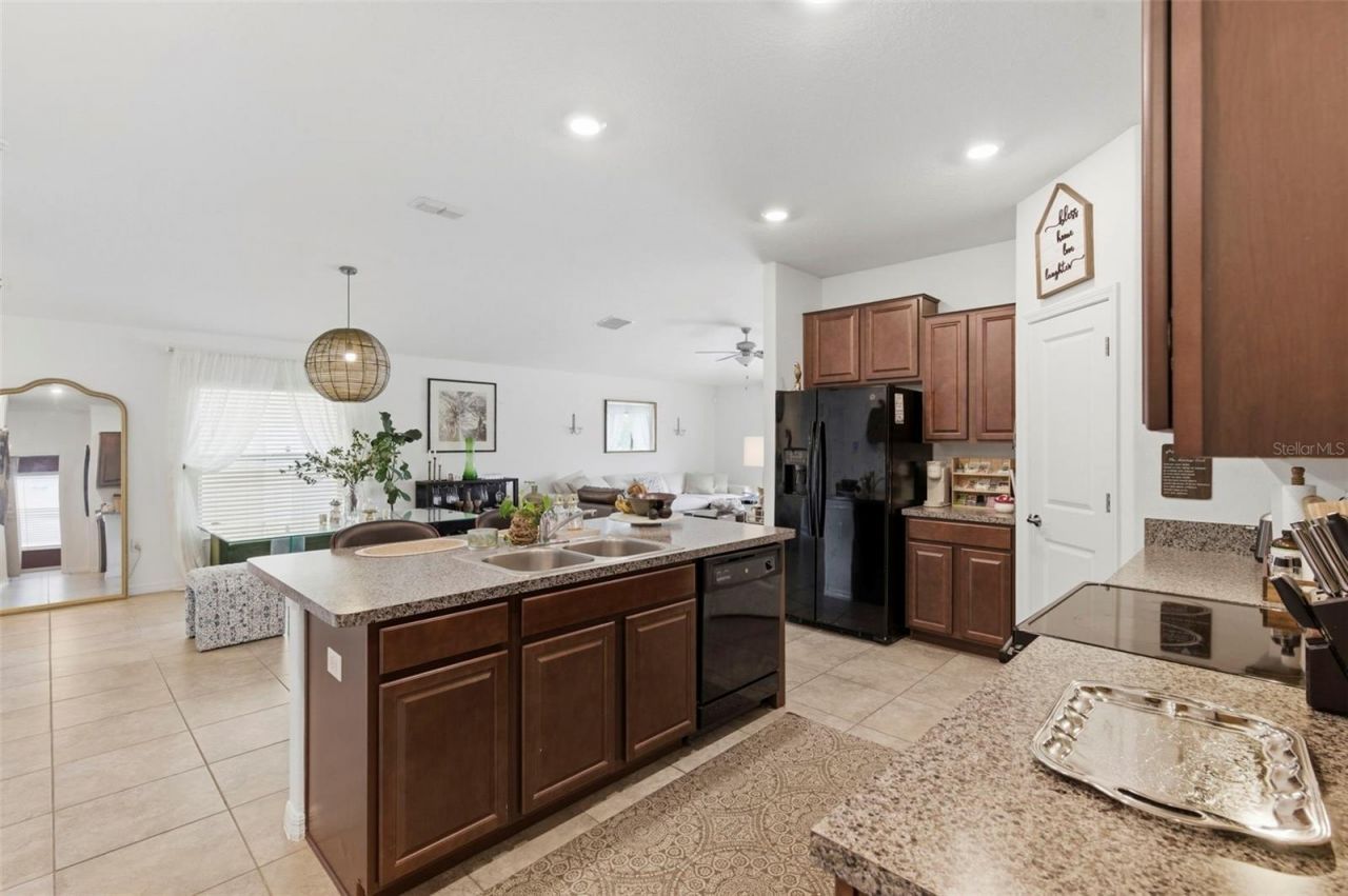 12611 Lemon Pepper Drive, Riverview, FL 33578 Photo