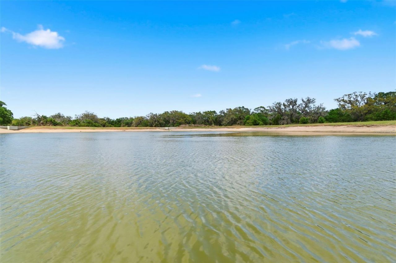 12611 Lemon Pepper Drive, Riverview, FL 33578 Photo