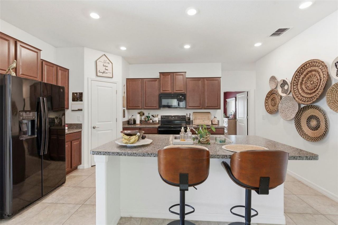 12611 Lemon Pepper Drive, Riverview, FL 33578 Photo