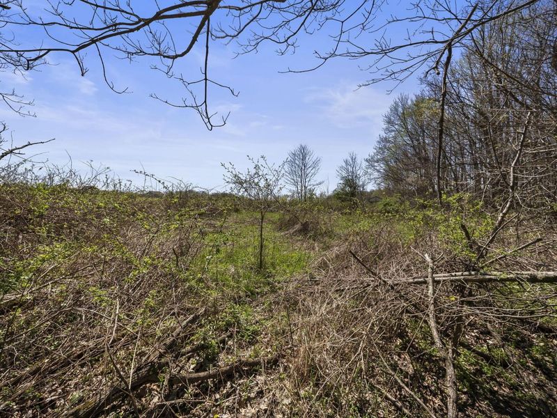 3763 Maxwell Road , Mansfield, OH 44904 Photo 68