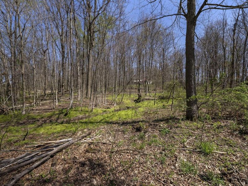 3763 Maxwell Road , Mansfield, OH 44904 Photo 69