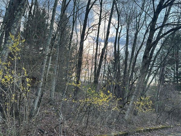 TBD Diane Boulevard , Woodridge, NY 12789