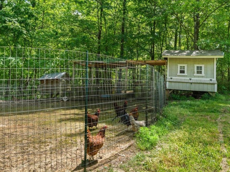 Property Image 33