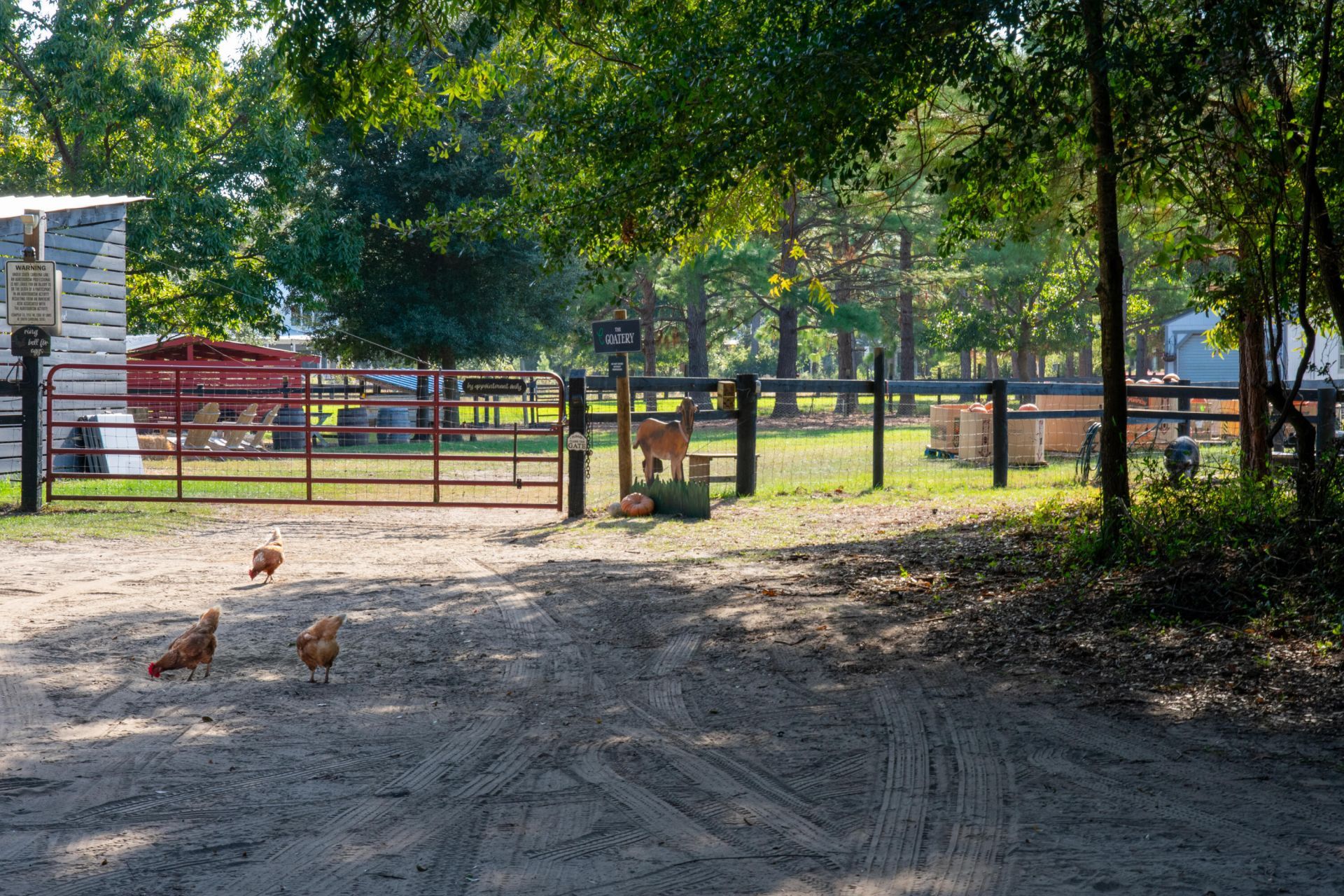 7021 Sounding Lane Photo 44