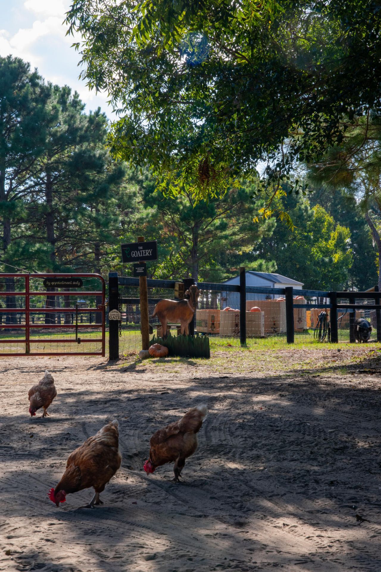 7021 Sounding Lane Photo 45