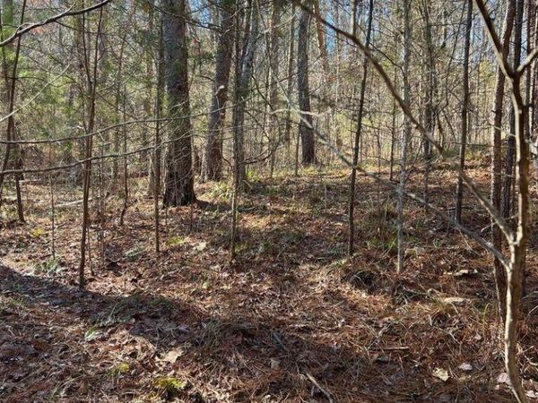 Lot 157 Laurel Lake Circle, Madisonville, TN 37354