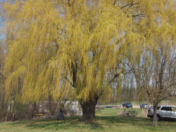 621 Lyman Boulevard, Chaska, MN 55318