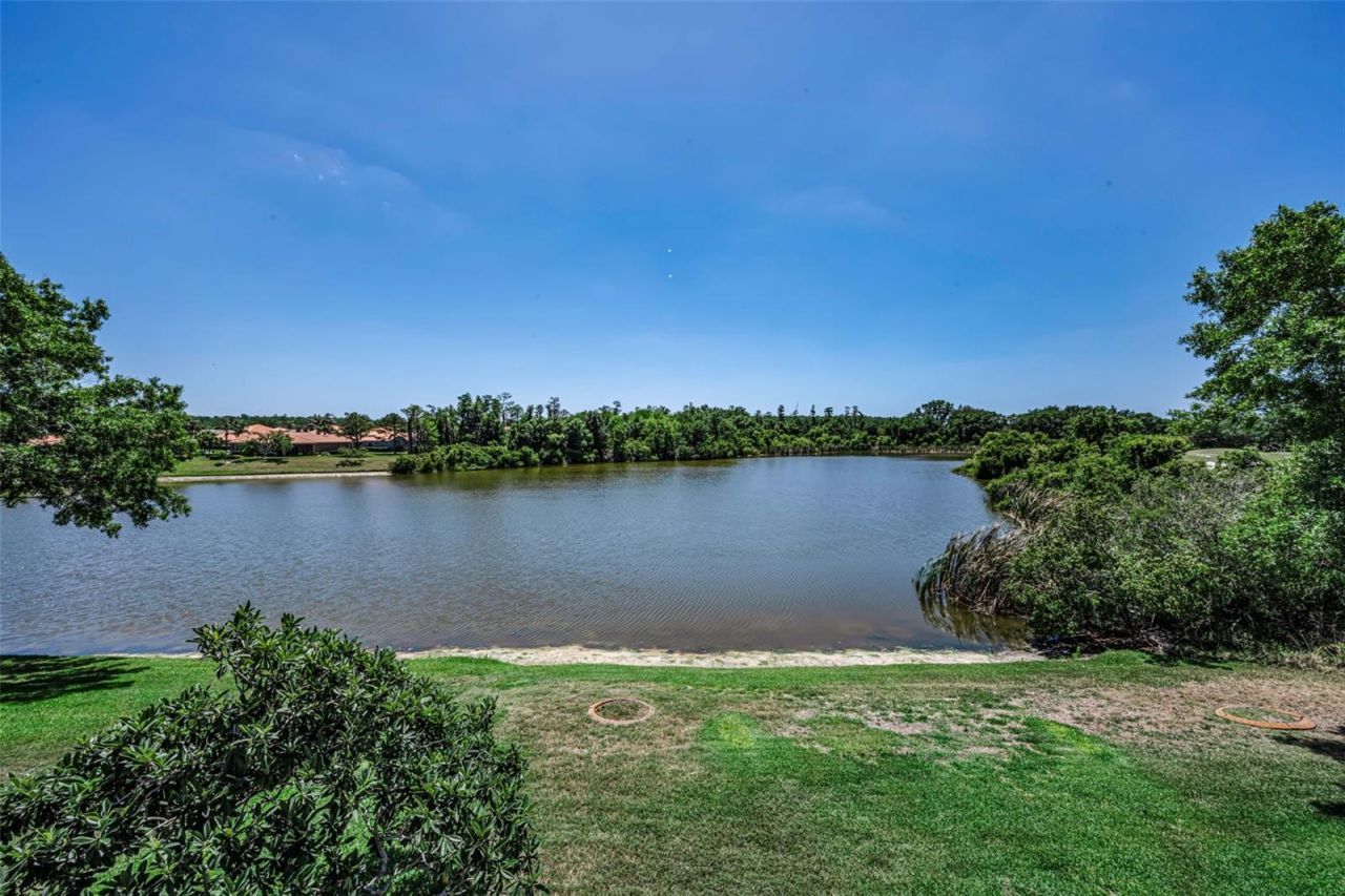 10706 Ruffino Court, Trinity, FL 34655 Photo