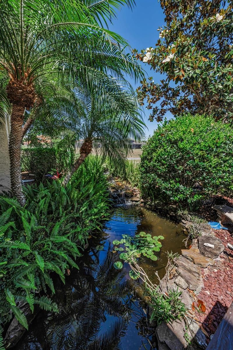 10706 Ruffino Court, Trinity, FL 34655 Photo