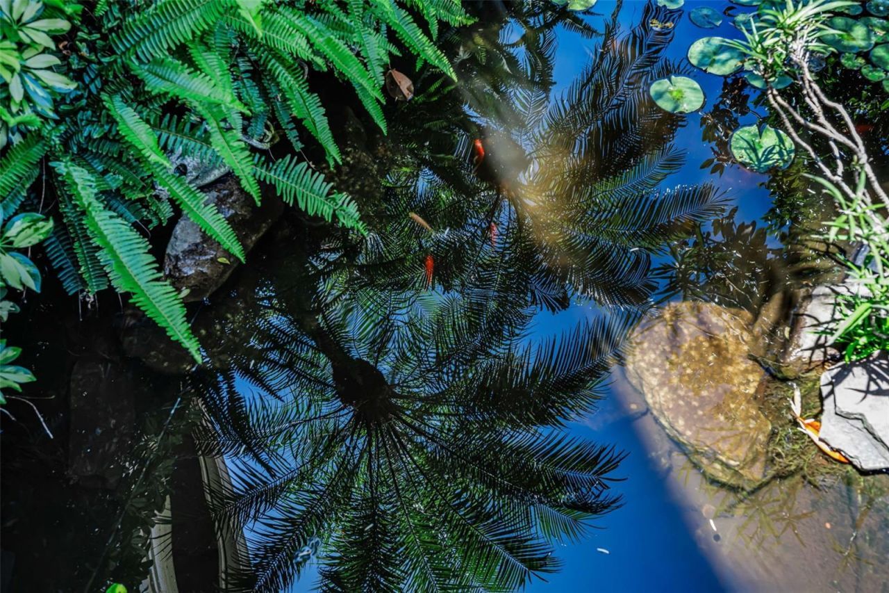 10706 Ruffino Court, Trinity, FL 34655 Photo