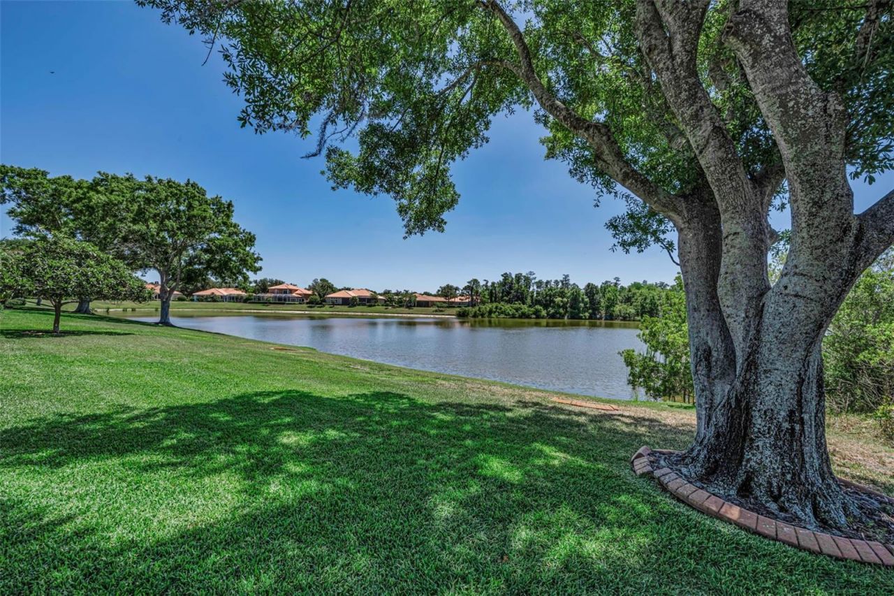 10706 Ruffino Court, Trinity, FL 34655 Photo