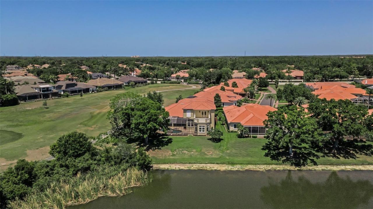 10706 Ruffino Court, Trinity, FL 34655 Photo