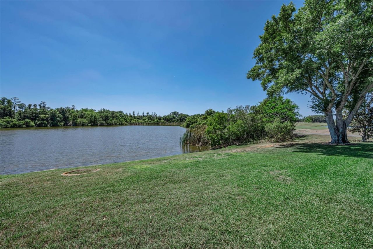 10706 Ruffino Court, Trinity, FL 34655 Photo