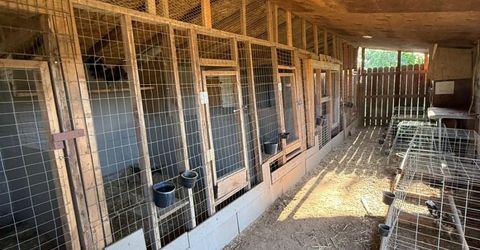 1408 Youngs Ave, Sacramento, CA 95838 Photo