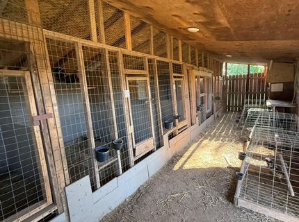 1408 Youngs Ave, Sacramento, CA 95838 Photo