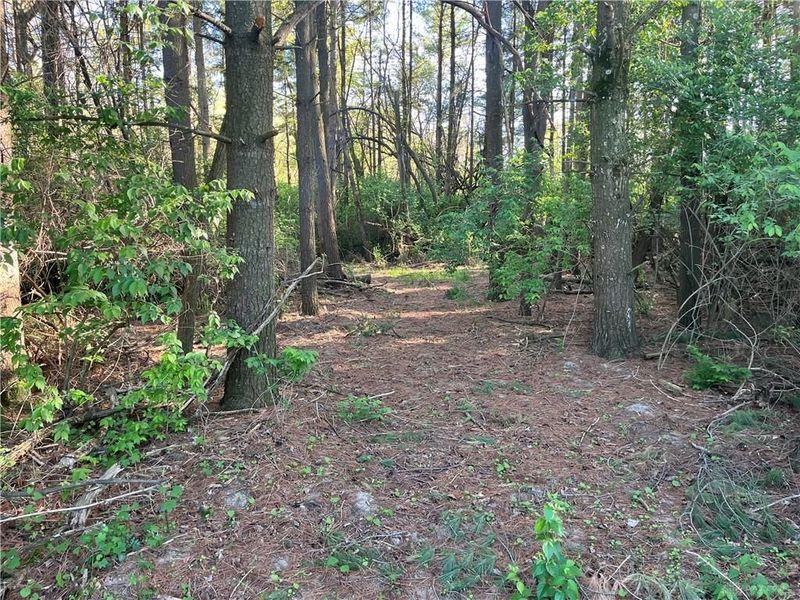 4004 Sintz Road, Springfield, OH 45504 Photo 14