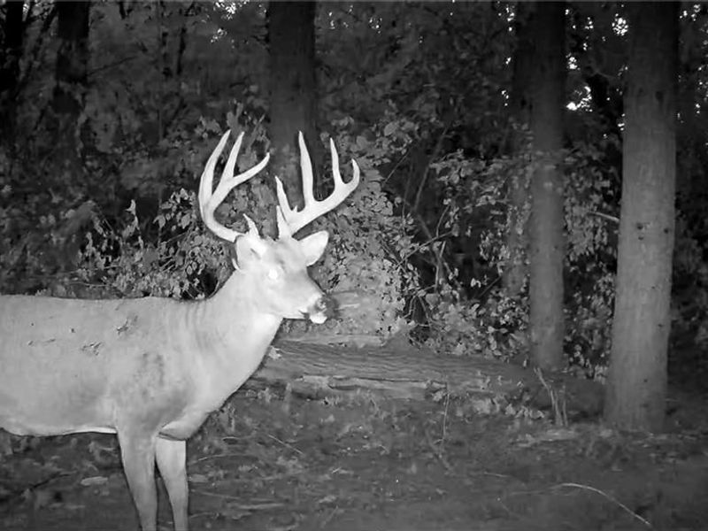 4004 Sintz Road, Springfield, OH 45504 Photo 19