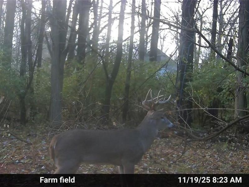 4004 Sintz Road, Springfield, OH 45504 Photo 21